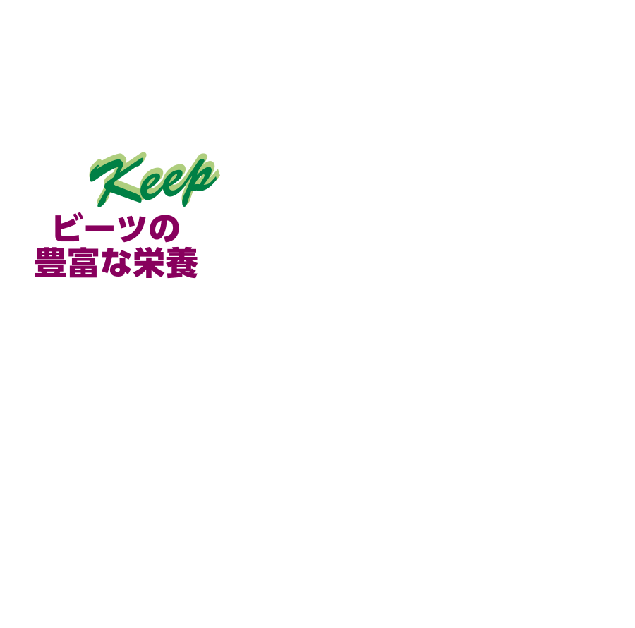 keep ビーツの豊富な栄養